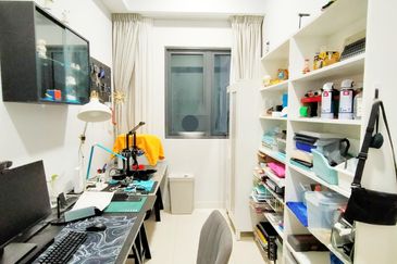 Dianthus @ Tropicana Gardens