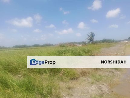 AGRICULTURE LAND IN BACHOK FOR SALE, Kelantan, Bachok