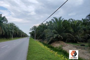 Jalan Kapar Agriciltural Land for Sale RM3.9mil