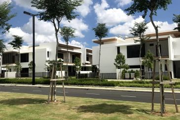 Terraza @ Eco Sanctuary