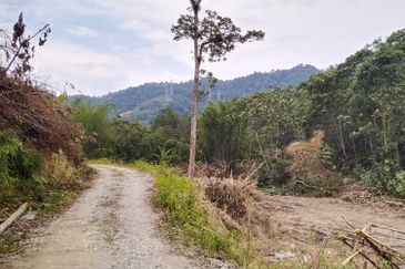 Agricultural Land @ Ulu Yam, Batang Kali, Hulu Langat
