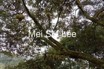 Bukit Chamang, Bentong