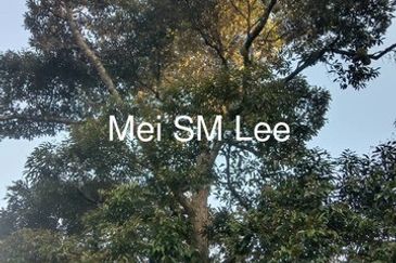 Bukit Chamang, Bentong