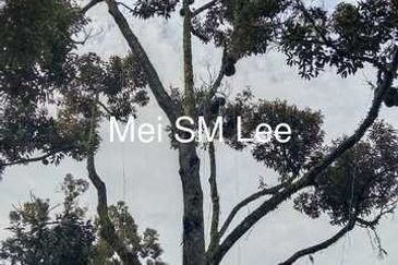 Bukit Chamang, Bentong