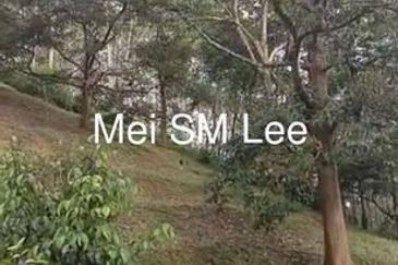 Bukit Chamang, Bentong