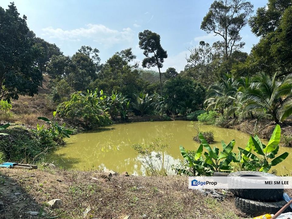 Agricultural Land @ Acacia, Bentong, Pahang, Pahang, Bentong