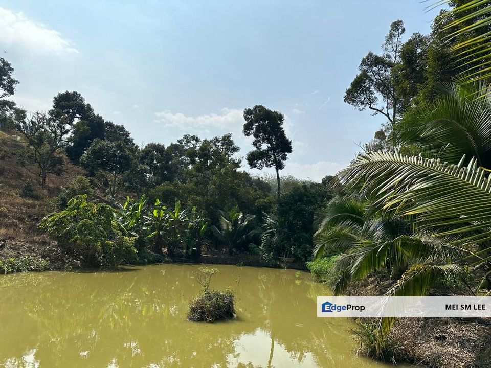 Agricultural Land @ Acacia, Bentong, Pahang, Pahang, Bentong