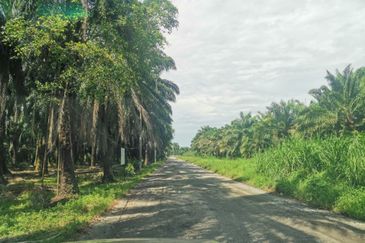 Telok Panglima Garang Industrial Zone