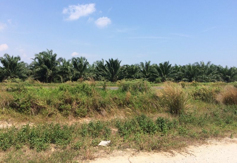 2.9 Acre Agriculture Land For Sale in Tanjung Dua Belas, Banting