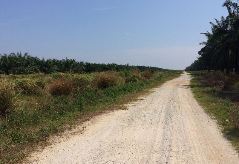 2.9 Acre Agriculture Land For Sale in Tanjung Dua Belas, Banting