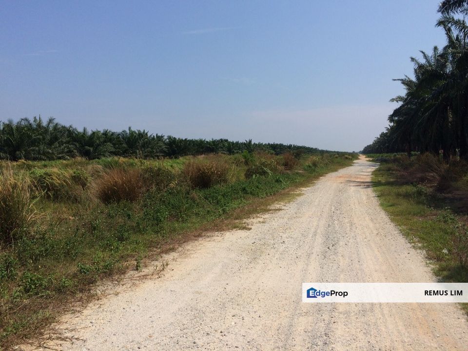 2.9 Acre Agriculture Land For Sale in Tanjung Dua Belas, Banting, Selangor, Banting