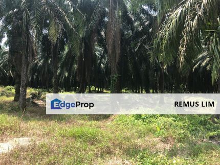 2.9 Acre Agriculture Land For Sale in Tanjung Dua Belas, Banting, Selangor, Banting