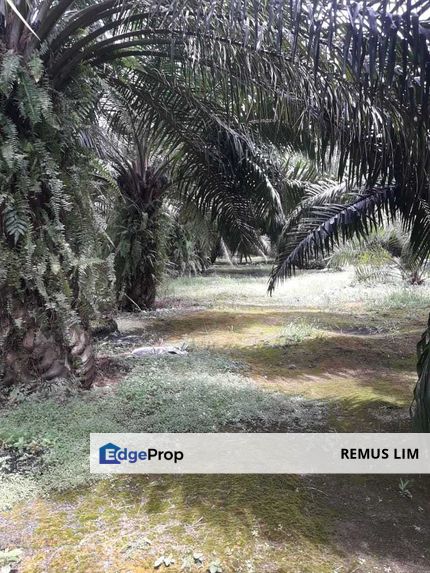 2.5 Acre Agriculture Land For Sale in Telok Panglima Garang, Selangor, Telok Panglima Garang