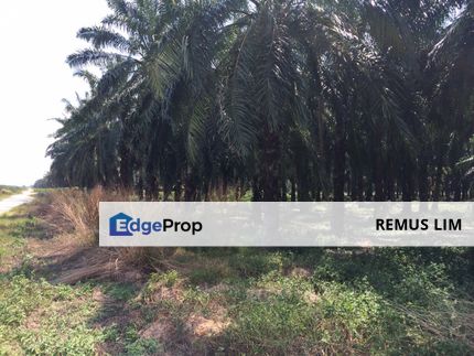 2 Acre Agriculture Land For Sale in Telok Panglima Garang, Selangor, Telok Panglima Garang