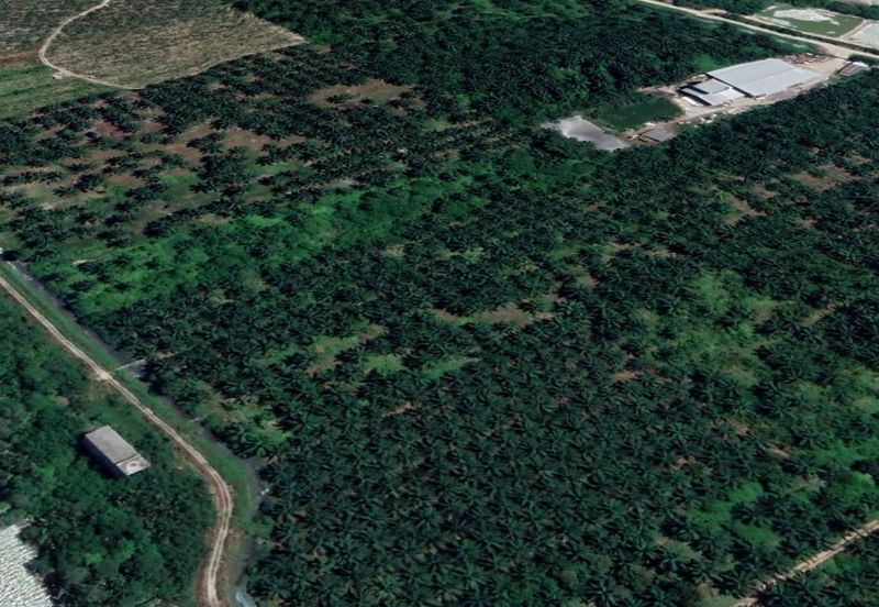 Agricultural Land For Sale in Telok Panglima Garang