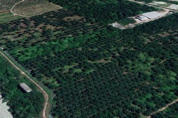 Agricultural Land For Sale in Telok Panglima Garang