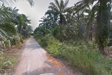 Agricultural Land For Sale in Telok Panglima Garang