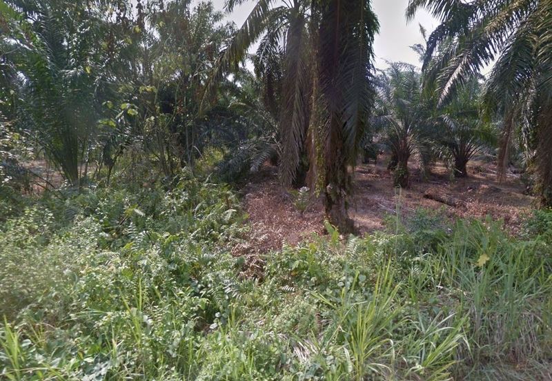 Agricultural Land For Sale in Telok Panglima Garang