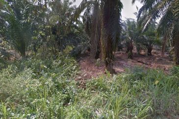 Agricultural Land For Sale in Telok Panglima Garang