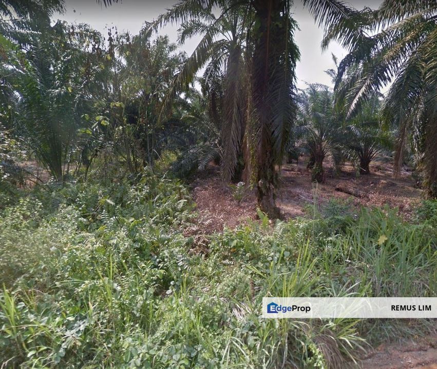 Agricultural Land For Sale in Telok Panglima Garang, Selangor, Telok Panglima Garang