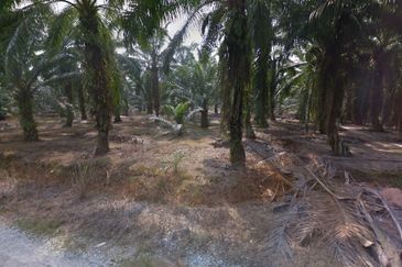 Agricultural Land For Sale in Telok Panglima Garang