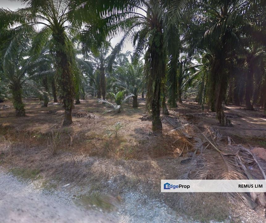 Agricultural Land For Sale in Telok Panglima Garang, Selangor, Telok Panglima Garang
