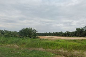 Agricultural Land For Sale in Telok Panglima Garang
