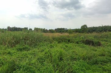 Agricultural Land For Sale in Telok Panglima Garang
