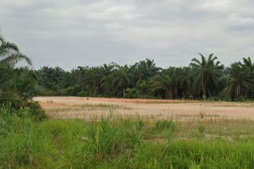 Agricultural Land For Sale in Telok Panglima Garang