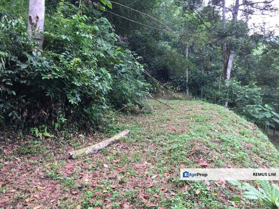 3.75 Acre Agriculture Land for Sale in Hulu Langat, Selangor, Hulu Langat