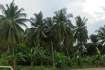 1 Acre Agriculture Land for Sale in Kuala Selangor