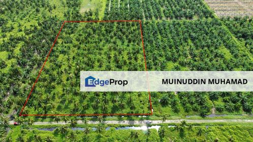 Tanah kebun kelapa di Bagan Datuk untuk di Jual Mukim Rungkup Daerah Bagan Datuk Perak, Perak, Bagan Datoh