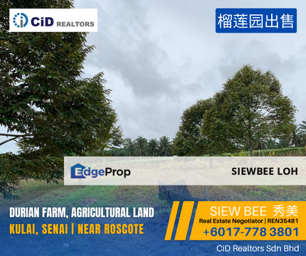 Durian Farm Agricultural Land For Sale @ Kulai Senai, Johor, Kulai