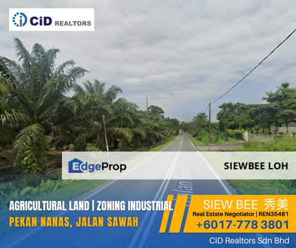 Agricultural Land Zoning Industrial @ Pekan Nanas, Johor, Pontian