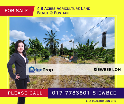 4.8 Acres Agriculture Land @ Benut Pontian, Johor, Pontian