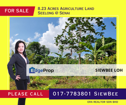 8.23 Acres Durian Farm @ Seelong Senai, Johor, Senai