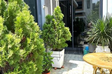 Terraza @ Eco Sanctuary