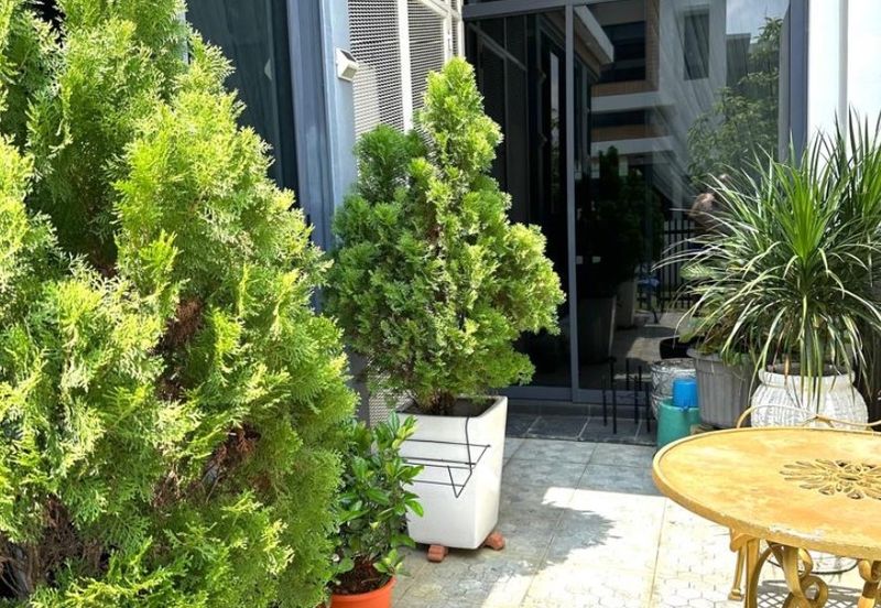 Terraza @ Eco Sanctuary