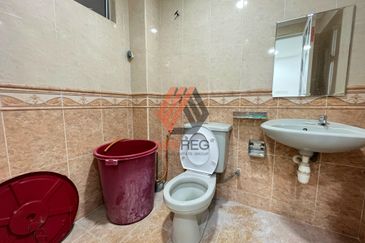 Anggerik Doritis @ Kota Kemuning