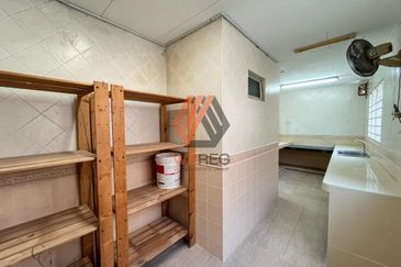 Anggerik Doritis @ Kota Kemuning