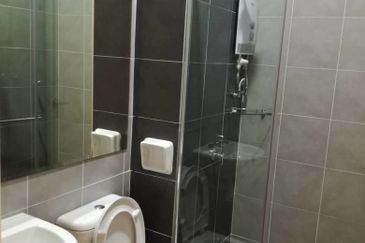 Siphonia @ Chemara Hills