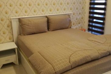 Siphonia @ Chemara Hills