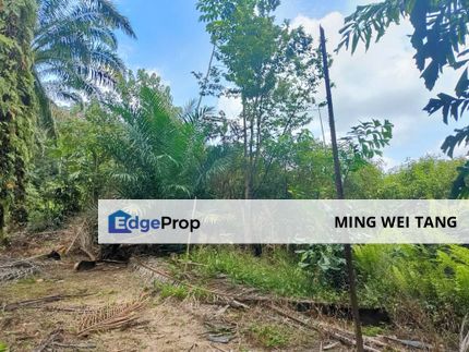 Pekan Nanas Agriculture Land For Sale, Johor, Pontian