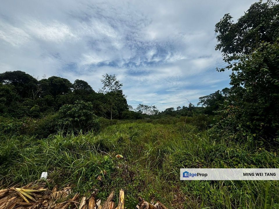 Taman nusaria 1.52 acre Agriculture Land for Sale , Johor, Gelang Patah