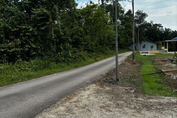 Jelutong