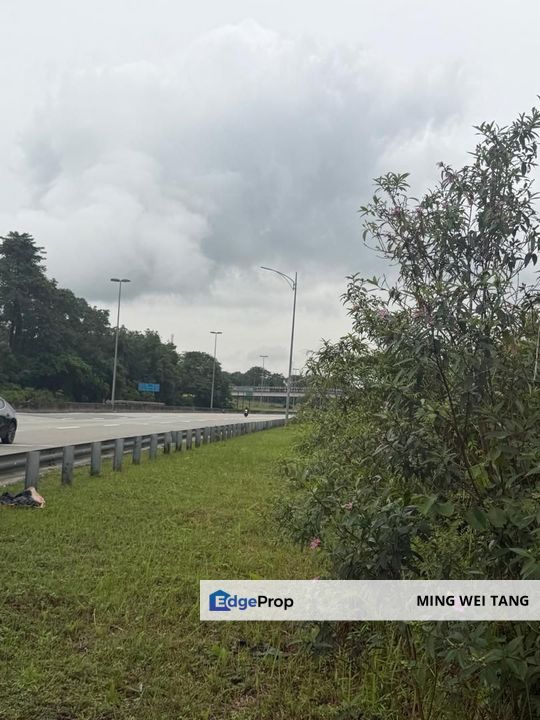 Tanjung Kupang Agriculture Land for sale, Johor, Johor Bahru