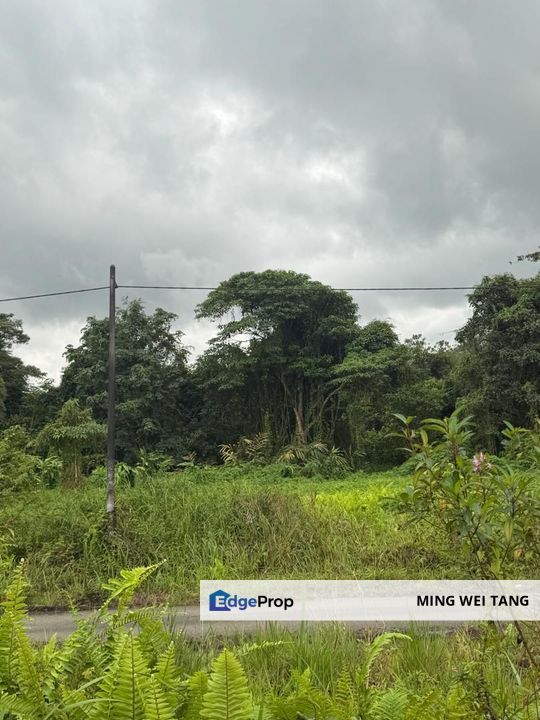 Tanjung Kupang Agriculture Land for sale, Johor, Johor Bahru
