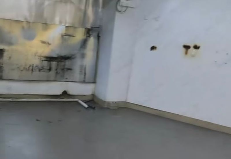 Regalia Park @ Forest City