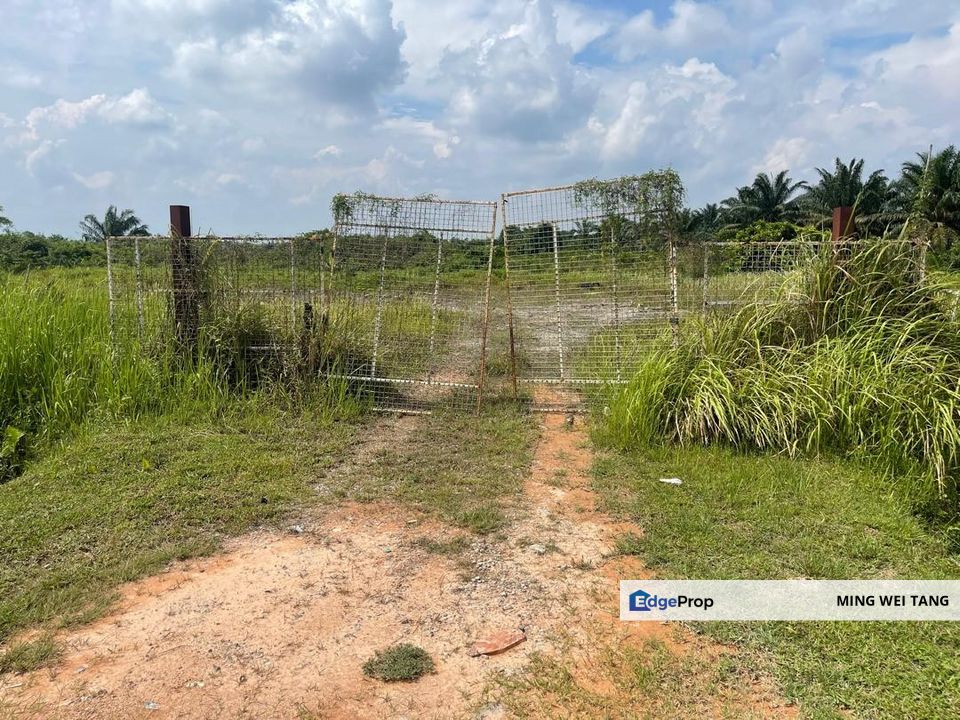 Pekan Nenas for sale, Johor, Pontian