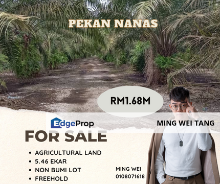 Pekan Nanas Agricultural Land for Sale , Johor, Pontian